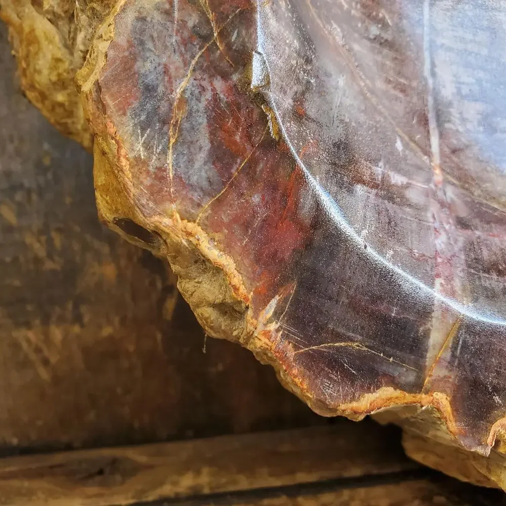 13lbs+ Red Brown XL Petrified Wood Fossilized Bowl 6210 grams